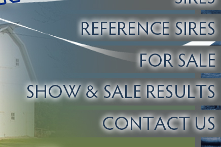 Sires - Reference Sires - For Sale - Contact Us